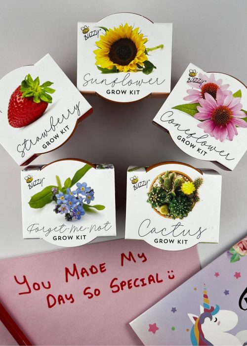 Buzzy Seeds Grow your Own Kit+ TY Card